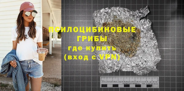 молекула духа Медвежьегорск