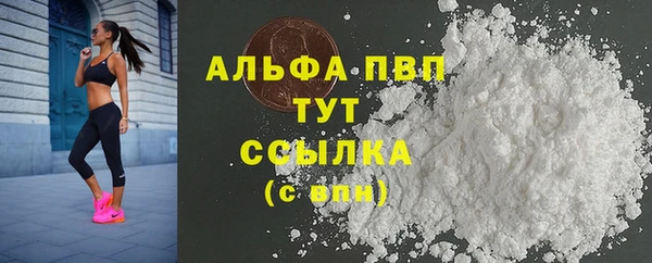 молекула духа Медвежьегорск